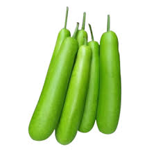 Fresh Bottle Gourd (Lauki)