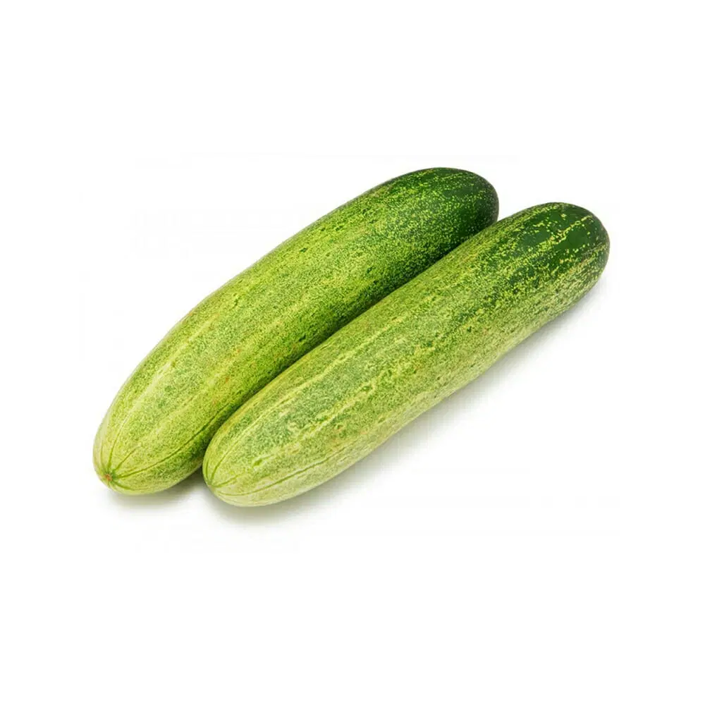 Fresh Cucumber (Kheera)